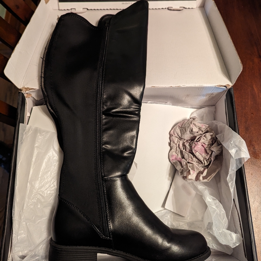 Lane Bryant Boots